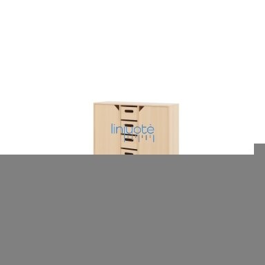 Spintelė XL + didelės kartoninės dėžės ir durelės + skrynios - Eko Spintelė XL + didelės kartoninės dėžės ir durelės + skrynios - Eko