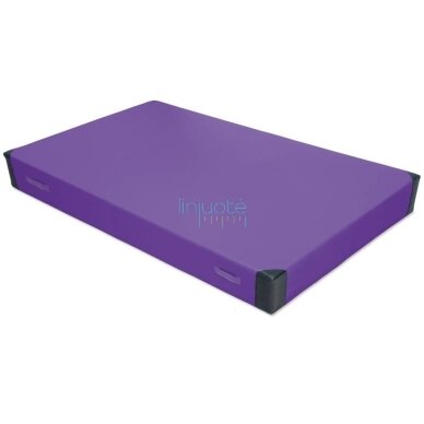 Gimnastikos čiužinys su sustiprintais kampais 20 cm Gimnastikos čiužinys su sustiprintais kampais 20 cm