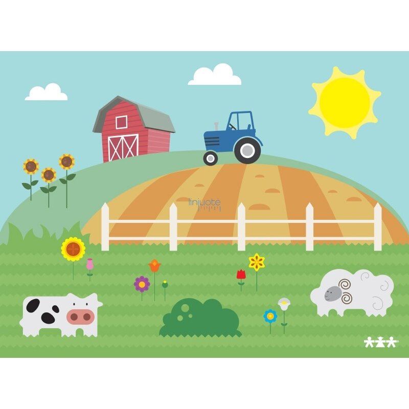 Ferma. Kilimas 4 x 3 m
