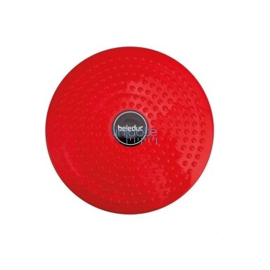 Tvisteriai. Sūkuriniai diskai pusiausvyros pratimams