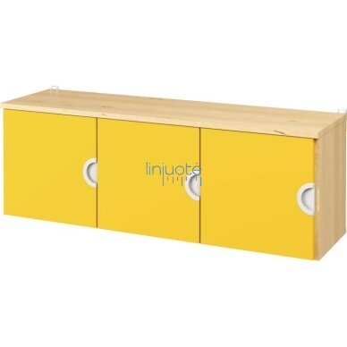 Pakabinama spintelė 3. Cubo kolekcija 6