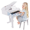 Mūzikas instrumenti Mūzikas instrumenti