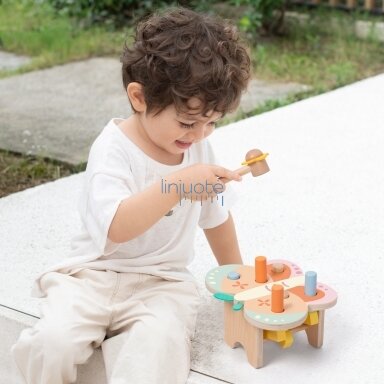 CLASSIC WORLD PASTELINIS MONTESSORI DRUGELIS SU PLAKTUKU, CW20269 CLASSIC WORLD PASTELINIS MONTESSORI DRUGELIS SU PLAKTUKU, CW20269