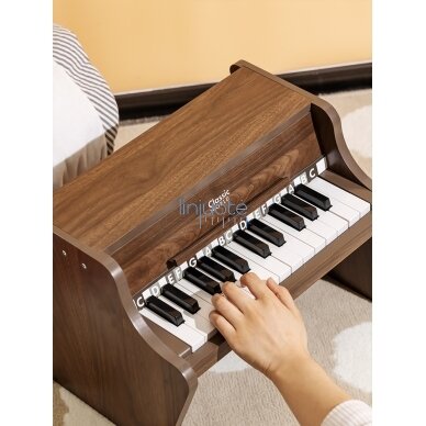 CLASSIC WORLD MEDINIS KLASIKINIS PIANINAS + MOKOMASIS PRATYBŲ SĄSIUVINIS, CW40584 5 CLASSIC WORLD MEDINIS KLASIKINIS PIANINAS + MOKOMASIS PRATYBŲ SĄSIUVINIS, CW40584 5