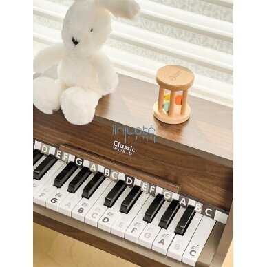 CLASSIC WORLD MEDINIS KLASIKINIS PIANINAS + MOKOMASIS PRATYBŲ SĄSIUVINIS, CW40584 8 CLASSIC WORLD MEDINIS KLASIKINIS PIANINAS + MOKOMASIS PRATYBŲ SĄSIUVINIS, CW40584 8