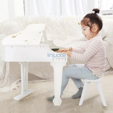 CLASSIC WORLD DIDELIS KŪDIKIŲ PIANINAS SU KĖDUTE IR MOKOMĄJA KNYGA, CW54273 1