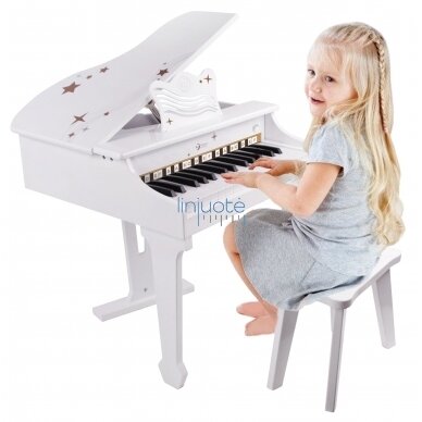 CLASSIC WORLD DIDELIS KŪDIKIŲ PIANINAS SU KĖDUTE IR MOKOMĄJA KNYGA, CW54273 2