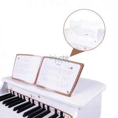CLASSIC WORLD DIDELIS KŪDIKIŲ PIANINAS SU KĖDUTE IR MOKOMĄJA KNYGA, CW54273 3