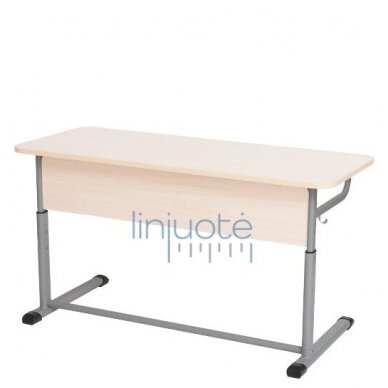 Divvietīgs skolas galds, pelēks rāmis, 6308391 Divvietīgs skolas galds, pelēks rāmis, 6308391