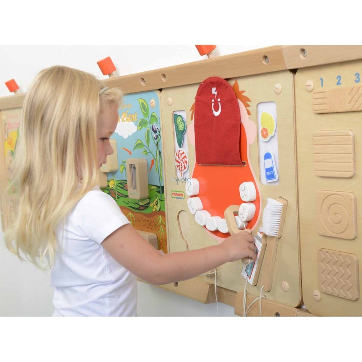 Mokomasis edukacinis modelis "Dantų higiena" MASTERKIDZ, ME10346 6