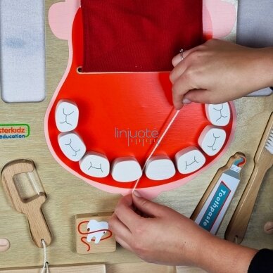Mokomasis edukacinis modelis "Dantų higiena" MASTERKIDZ, ME10346 13