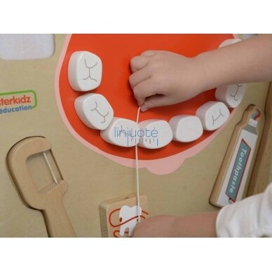 Mokomasis edukacinis modelis "Dantų higiena" MASTERKIDZ, ME10346 8