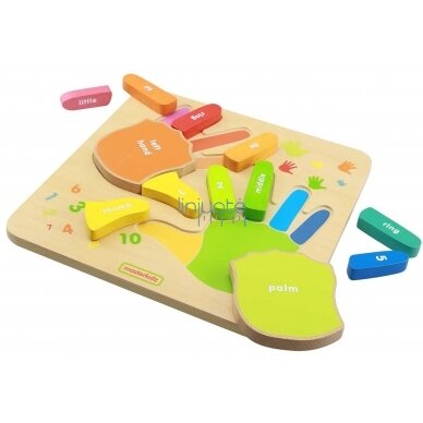 Mokomoji edukacinė priemonė "Skaičiavimas ant pirštų" MASTERKIDZ, MK01733 3