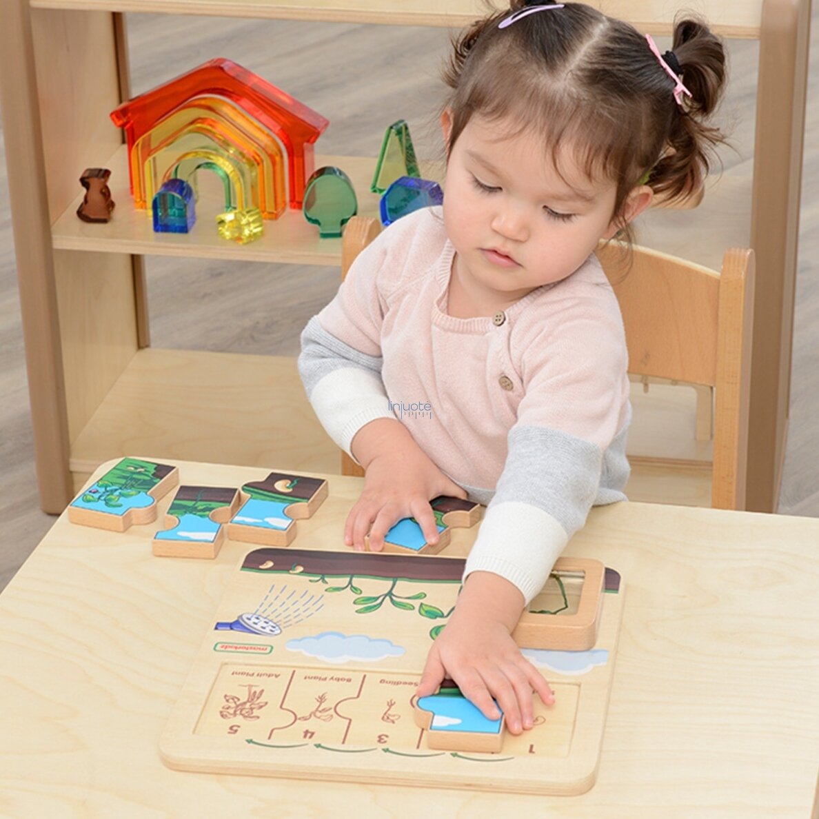MASTERKIDZ Medinė lentelė „Pupelės gyvavimo ciklas“ 4