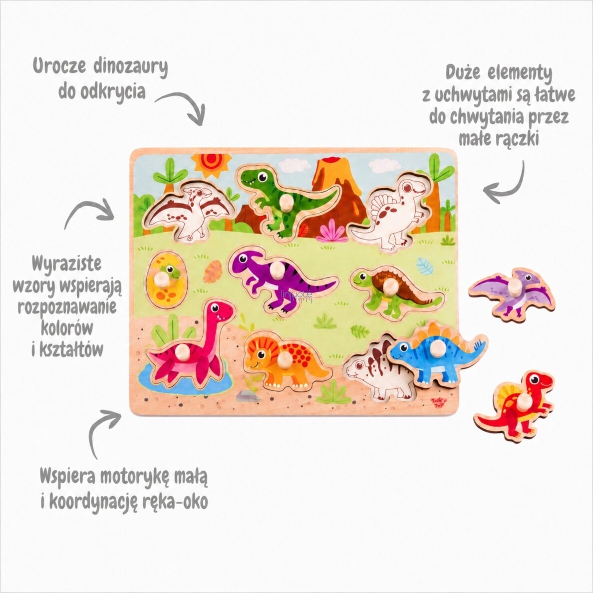 TOOKY TOY Medinės Montessori dėlionės Dinozaurai Formos 3