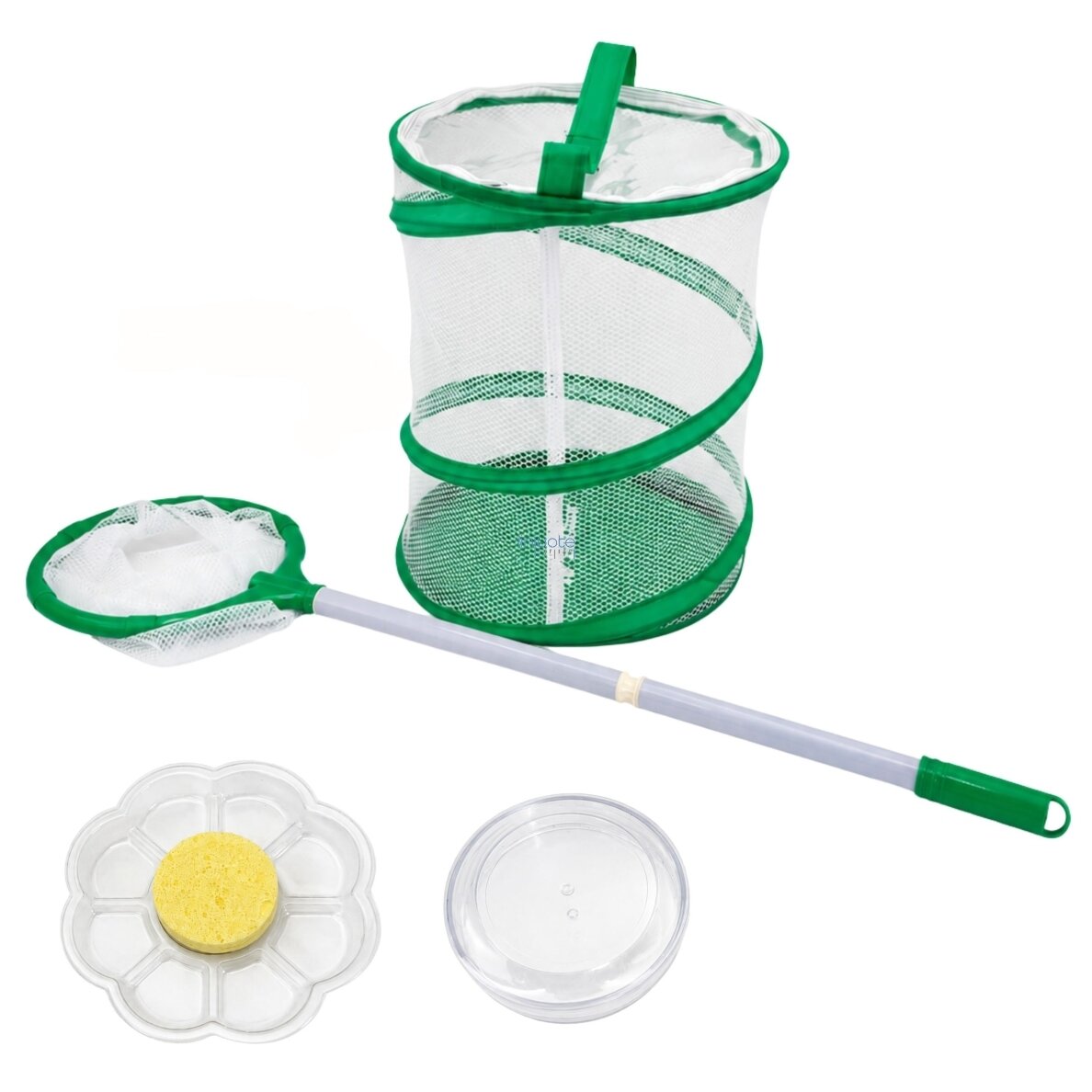Woopie drugelių auginimo rinkinys STEM, tinklas, priedai 2