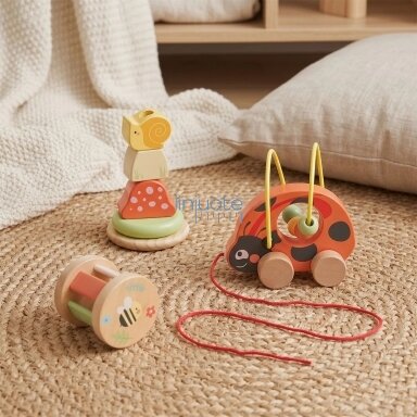 TOOKY TOY Montessori žaislų rinkinys nuo 12m+ vystymosi žaidimams 3in1 boružėlė
