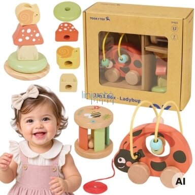 TOOKY TOY Montessori žaislų rinkinys nuo 12m+ vystymosi žaidimams 3in1 boružėlė
