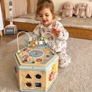 TOOKY TOY Interaktyvus medinis Montessori šešiakampis atidaromas dėžutės tipo žaislas 6 TOOKY TOY Interaktyvus medinis Montessori šešiakampis atidaromas dėžutės tipo žaislas 6