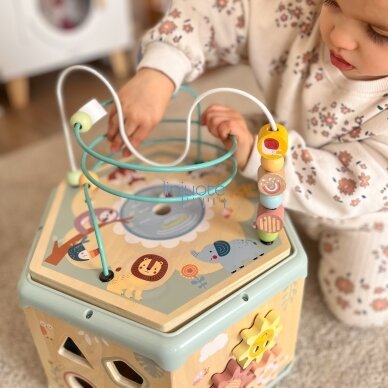 TOOKY TOY Interaktyvus medinis Montessori šešiakampis atidaromas dėžutės tipo žaislas 8