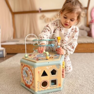 TOOKY TOY Interaktyvus medinis Montessori šešiakampis atidaromas dėžutės tipo žaislas 9 TOOKY TOY Interaktyvus medinis Montessori šešiakampis atidaromas dėžutės tipo žaislas 9