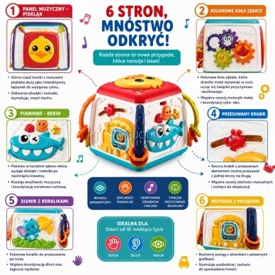 WOOPIE BABY Interaktyvus edukacinis daugiafunkcis kubas 18m+ 2