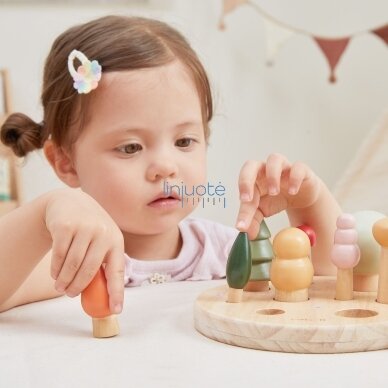 VIGA Medinė edukacinė dėlionė skaičiavimui, skaitmenys, rūšiuotuvas, medeliai PolarB 18+ 3 VIGA Medinė edukacinė dėlionė skaičiavimui, skaitmenys, rūšiuotuvas, medeliai PolarB 18+ 3