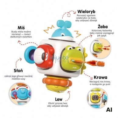 WOOPIE BABY Sensorinis kubas 6in1 - Gyvūnėliai 2