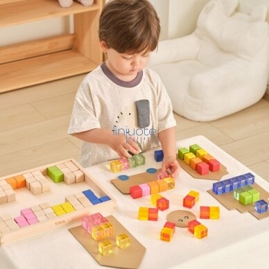 VIGA sensorinės medinės kaladėlės spalvotos skaidrios Montessori 108 vnt. 4