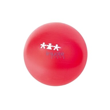 Gimnastikos kamuolys 65 cm