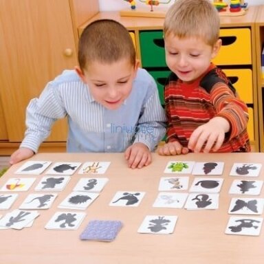 Kieno tai šešėlis?, 093017 Kieno tai šešėlis?, 093017