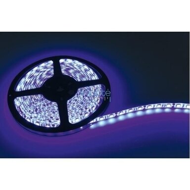 LED JUOSTA, 1x5 M, 095549 LED JUOSTA, 1x5 M, 095549