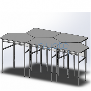 Mokyklis stalas ERGO LIN30234 2