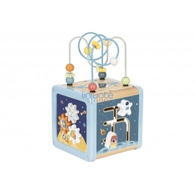 „TOOKY TOY“ medinis veiklos kubas,TJ932 1