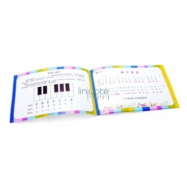 Vaikiškas medinis pianinas, CW2817 Vaikiškas medinis pianinas, CW2817