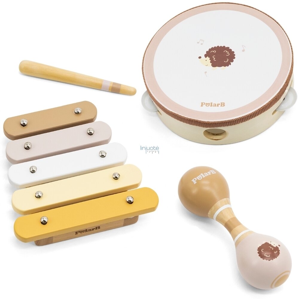 VIGA POLARB MUZIKINIŲ INSTRUMENTŲ RINKINYS SU EŽIUKU, 44233N