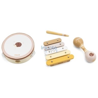 VIGA POLARB MUZIKINIŲ INSTRUMENTŲ RINKINYS SU EŽIUKU, 44233N VIGA POLARB MUZIKINIŲ INSTRUMENTŲ RINKINYS SU EŽIUKU, 44233N