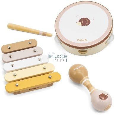 VIGA POLARB MUZIKINIŲ INSTRUMENTŲ RINKINYS SU EŽIUKU, 44233N
