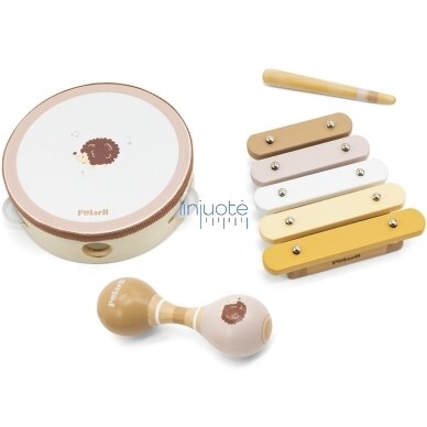 VIGA POLARB MUZIKINIŲ INSTRUMENTŲ RINKINYS SU EŽIUKU, 44233N 2