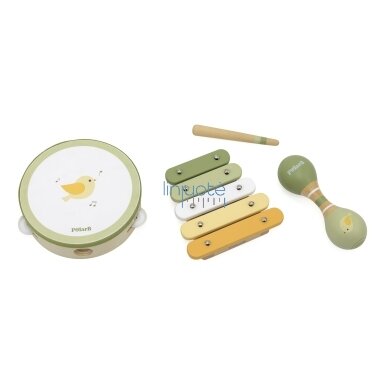 VIGA POLARB MUZIKOS INSTRUMENTŲ RINKINYS SU PAUKŠČIU, 44213N 1 VIGA POLARB MUZIKOS INSTRUMENTŲ RINKINYS SU PAUKŠČIU, 44213N 1