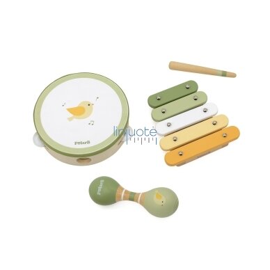 VIGA POLARB MUZIKOS INSTRUMENTŲ RINKINYS SU PAUKŠČIU, 44213N VIGA POLARB MUZIKOS INSTRUMENTŲ RINKINYS SU PAUKŠČIU, 44213N