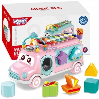 MUZIKINIS AUTOMOBILIS SU CIMBOLAIS ROŽINIS, 49492 MUZIKINIS AUTOMOBILIS SU CIMBOLAIS ROŽINIS, 49492