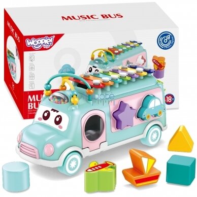 MUZIKINIS AUTOMOBILIS SU CIMBOLAIS, ŽALIAS, 49485 MUZIKINIS AUTOMOBILIS SU CIMBOLAIS, ŽALIAS, 49485