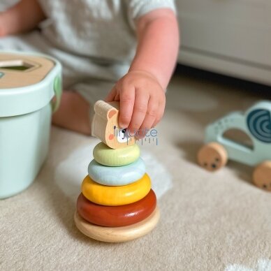WOOPIE GREEN Dėžutė Rūšiuoklė Box 3v1 Kaladėlės Piramidė Dramblys FSC, 49669 2